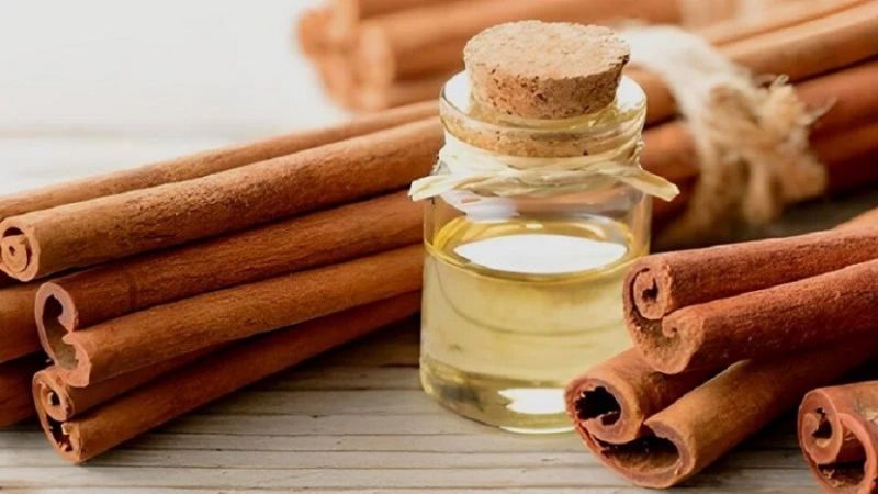 Thị trường xuất khẩu quế hiện nay