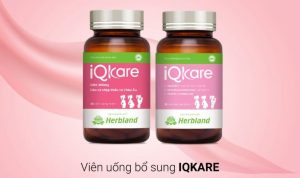 Hướng dẫn bán hàng TMĐT: thực phẩm bổ sung & Vitamin xuyên biên giới
